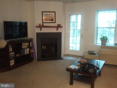 4546 28th Rd S unit 156, Arlington, VA 22206 - photo 3