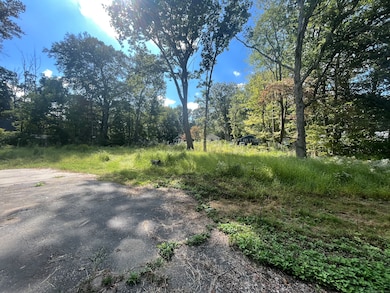 2 Lots on Deepwood Dr, Hebron, CT 06248 - photo 4