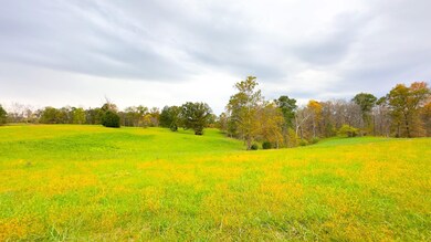 0 Red Hill Rd unit 25653294, Dexter, OH 45741 - photo 3