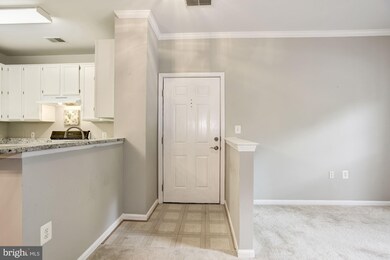 1516 N Point Dr unit 103, Reston, VA 20194 - photo 2
