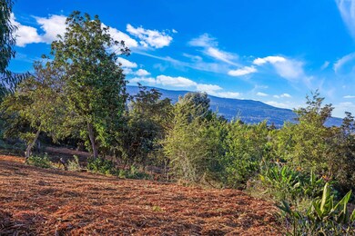 0 Haleakala Hwy unit 4, Kula, HI 96790 - photo 4