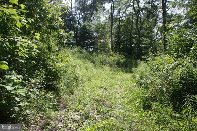 0 Hampshire Grade Rd unit 1002439090, Hedgesville, WV 25427 - photo 2