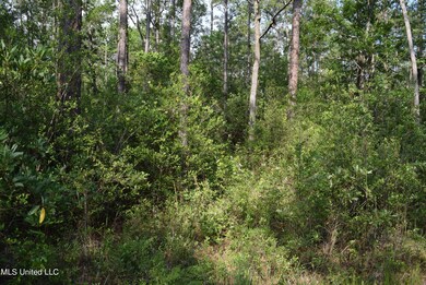 00 Avocado St, Bay Saint Louis, MS 39520 - photo 6