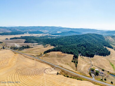 NNA Coldwater Ln, Desmet, ID 83824 - photo 4