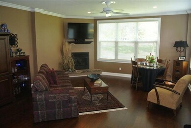 Den view 2