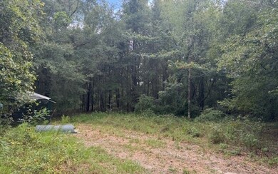 27210 41st Rd, Branford, FL 32008 - photo 3