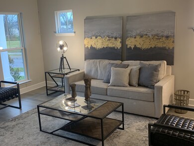 221 Mary Ann Cir, Spring Hill, TN 37174 - photo 5