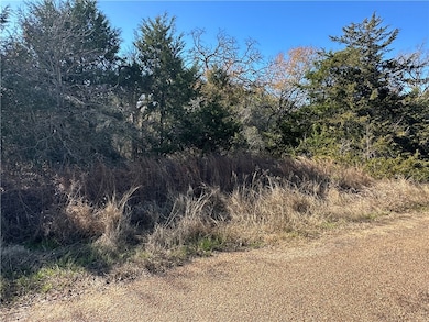 View of local wilderness