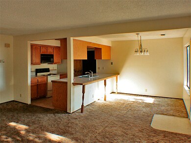 Kitchen & Dining Area