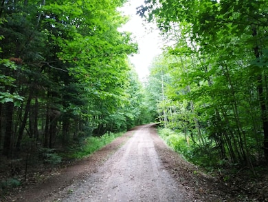 Tea Lake Rd, Crandon, WI 54520 - photo 3