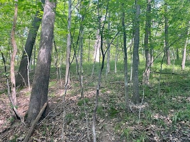 S SD State Route 103, Rushville, IL 62681 - photo 5