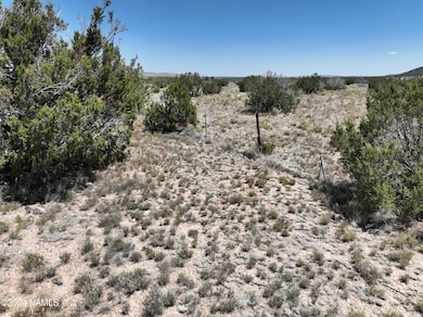 DJI_20240615113520_0054_V