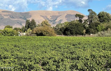 Farming with hills