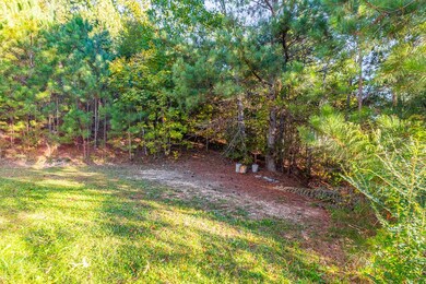 164 Thoroughbred Dr, Tunnel Hill, GA 30755 - photo 6