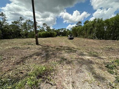 Xx126th Ter N, Jupiter, FL 33478 - photo 4