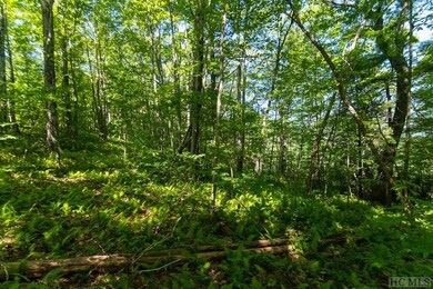 Lot 6 E Ridge Rd, Cashiers, NC 28717 - photo 7