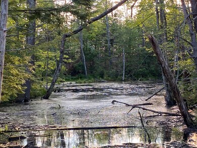 IMG_3525