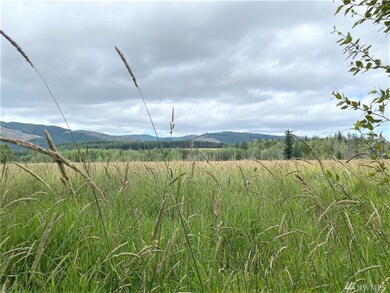 18303 Bald Hill Rd SE, Yelm, WA 98597 - photo 4