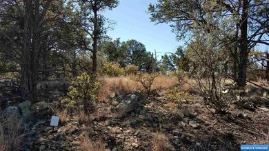 45 Vesuvius Way, Silver City, NM 88061 - photo 2