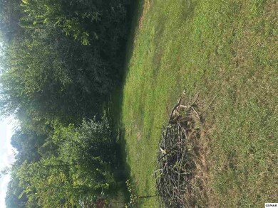 Additional View 7
