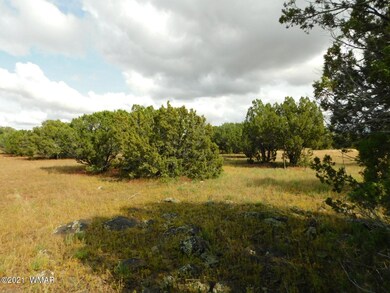 Lot No. 59 Sequoia Pl. Show Low, Az