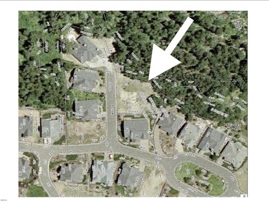 Lot_Satellite View