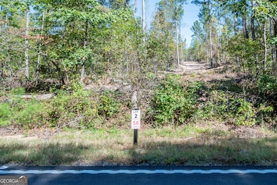 3785 Hwy 140 NE, Rydal, GA 30171 - photo 2