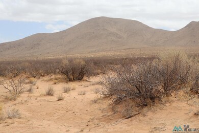 0 Ojo Rd SW unit 20251306, Deming, NM 88030 - photo 4