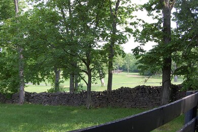 106 Kidds Mill Rd E, Versailles, KY 40383 - photo 7