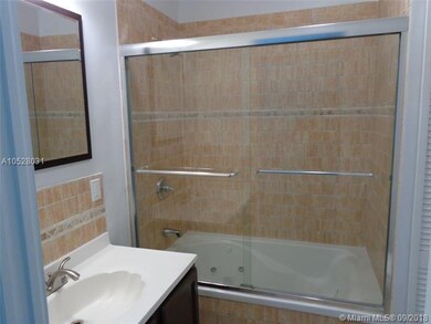 Vanity & Jacuzzi - Master Bath