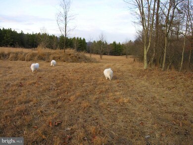 Lot 78 Trough View Rd, Old Fields, WV 26836 - photo 6