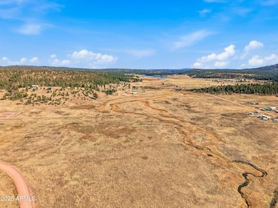 Lot 25 the Ranch at Alpine -- unit 25, Alpine, AZ 85920 - photo 5