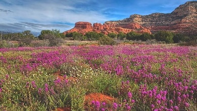 Loy Butte Rd, Sedona, AZ 86336 - photo 6