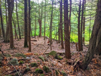 00 Cobble Hill Rd, Spofford, NH 03462 - photo 7