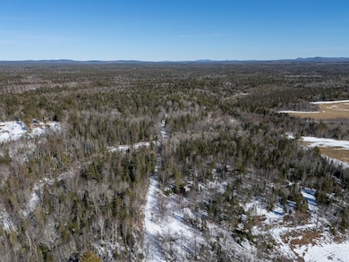 75 Tannery Rd, East Central Penobscot, ME 04418 - photo 6