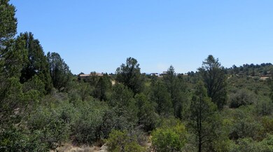 IMG_7862