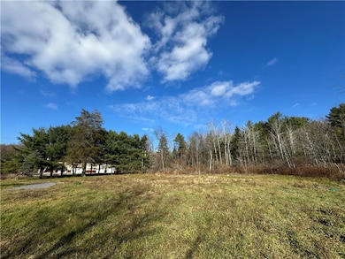 2336 State Route 228, Odessa, NY 14869 - photo 4