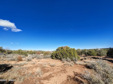 Parcel 3 W Shumway Rd, Taylor, AZ 85901 - photo 2