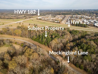 0 Hwy182 Hwy 25 Mockingbird Rd unit 25-2487, Starkville, MS 39759 - photo 3