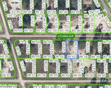 319 Vienna Ave, Lake Placid, FL 33852 - photo 5