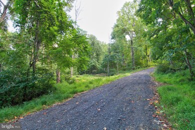 0 Old Ski Lodge Ln unit VARP2001236, Washington, VA 22747 - photo 5
