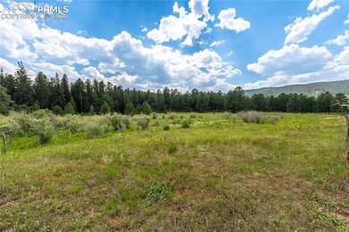 29507 N Highway 67, Woodland Park, CO 80863 - photo 6