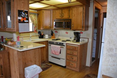 DSC_8746 (1)