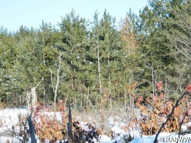 Pcl 2 Woodland Pass, Danbury, WI 54830 - photo 2