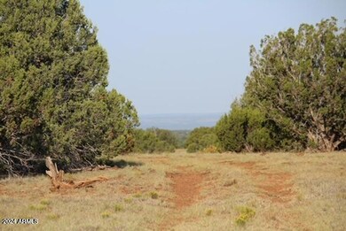 View from the 40 acres