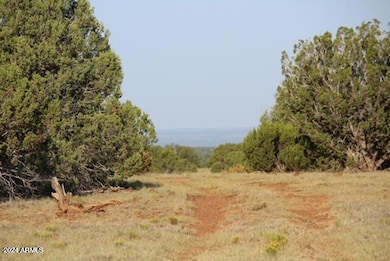 4 parcels N Shady Oak 404-69-005 10+acres -- unit D, Show Low, AZ 85901 - photo 2