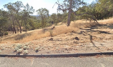 28729 Long Hollow Ct S, Yosemite Lakes, CA 93614 - photo 6