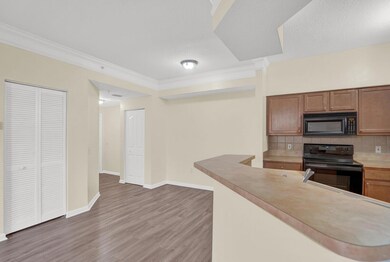 9845 Baywinds Dr unit 6102, West Palm Beach, FL 33411 - photo 5