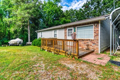 23315WalnutLnShellKnobMO-5