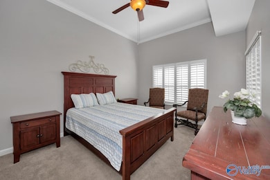 Carpet, crown molding, ceiling fan, 11' ceiling